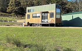 Little Pardalote Tiny Home Bruny Island